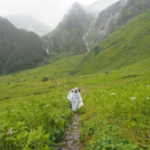 Valley of Flowers, best time to visit, best season to visit valley of flowers, opening time, valley of flowers national park photos, how to reach valley of flowers, delhi to valley of flowers, badrinath to valley of flowers, Valley of Flowers Uttarakhand Trek, Valley of Flowers Trek Best Time, Valley of Flowers Uttarakhand Trek Distance,