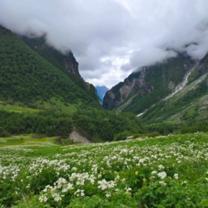 Valley of Flowers, best time to visit, best season to visit valley of flowers, opening time, valley of flowers national park photos, how to reach valley of flowers, delhi to valley of flowers, badrinath to valley of flowers, Valley of Flowers Uttarakhand Trek, Valley of Flowers Trek Best Time, Valley of Flowers Uttarakhand Trek Distance,