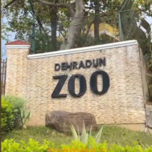 Malsi Deer Park, Malsi Deer Park ticket price, hotels near Malsi Deer Park, Malsi Deer Park photos, Malsi Deer Park timings, Malsi Deer Park entry fee, Dehradun Zoo,