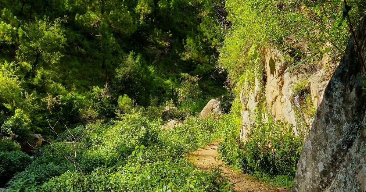 11 Best Places to Visit in Uttarakhand in June-July 8 Kausani