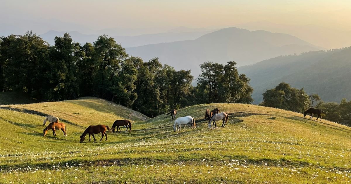 11 Best Places to Visit in Uttarakhand in June-July 11 Nag Tibba