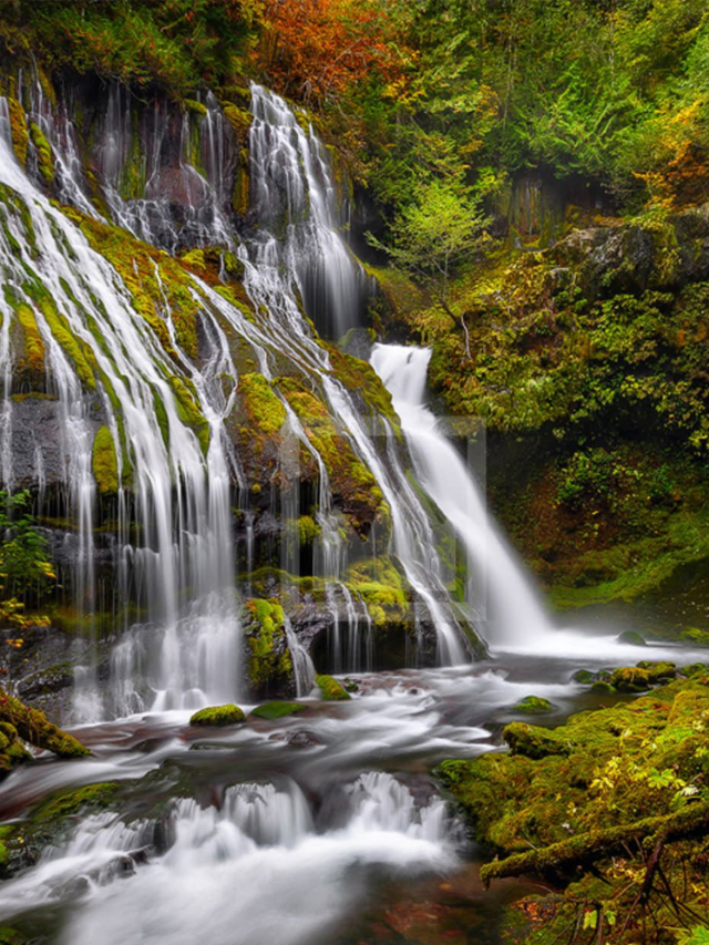 Falls in sequoia national park best sale