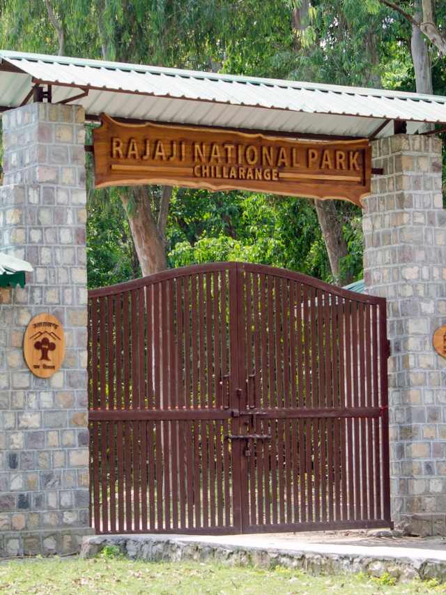 8 Thrilling Wildlife Encounters at Rajaji National Park