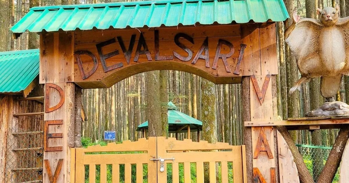 Devalsari Temple, Uttarakhand: How to Reach, Timing, History, Complete Travel Guide 2 A rustic wooden archway gate under a bright green tin roof features the text Devalsari, next to a large squirrel statue.