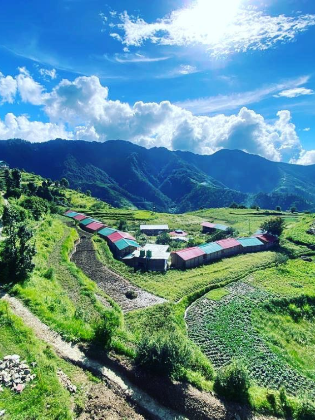 Surkanda Devi Temple Dhanaulti, hotels near Surkanda Devi Temple, Dhanaulti to Surkanda Devi Temple distance, Surkanda Devi Temple history, Surkanda Devi Temple weather, best time to visit Surkanda Devi Temple, Surkanda Devi Temple height