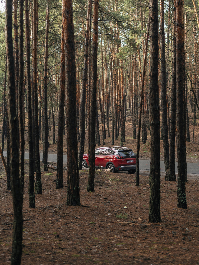 nainital to kainchi dham, nainital to kainchi dham distance, nainital to kainchi dham taxi fare, nainital to kainchi dham bus, distance between nainital to kainchi dham, kainchi dham to nainital distance, kainchi dham to nainital, kainchi dham to nainital taxi fare, kainchi dham to nainital bus