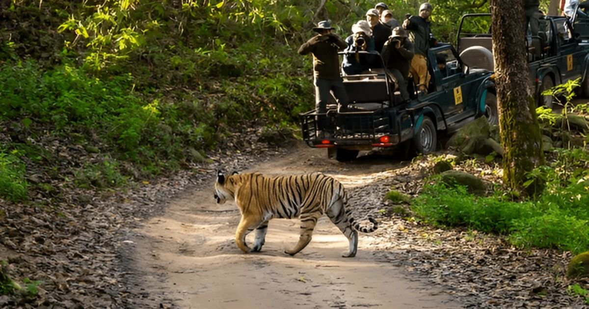 Uttarakhand, Uttarakhand Guide, Jim Corbett National Park