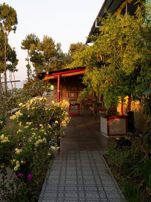 Kasar Devi Temple, Almora, Kasar Devi Temple Almora, temples in almora, Kasar Devi Temple, hotels in Kasar Devi Temple, hotels near Kasar Devi Temple
