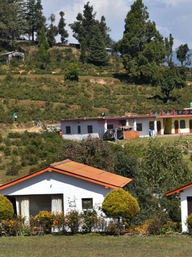 Chaukori, Chaukori Uttarakhand, Chaukori places to visit, things to do in Chaukori, Chaukori weather, Chaukori hotels, Kausani to Chaukori distance, Almora to Chaukori distance, Binsar to Chaukori distance, Delhi to Chaukori,