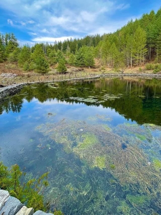 Visit Harsil Valley: How to Reach, Near Hotels, Best Time | Complete Travel Guide 17 A crystal clear lake reflects the green pine trees and blue sky near Harshil.