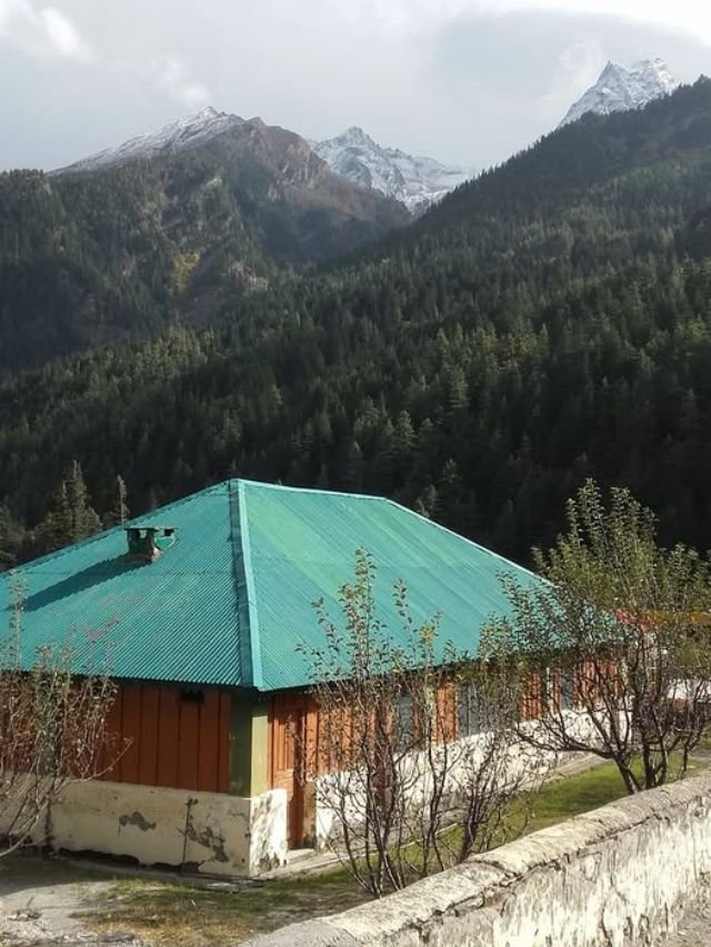 Visit Harsil Valley: How to Reach, Near Hotels, Best Time | Complete Travel Guide 15 A green roofed house stands against a backdrop of dense pine forests near Harshil.