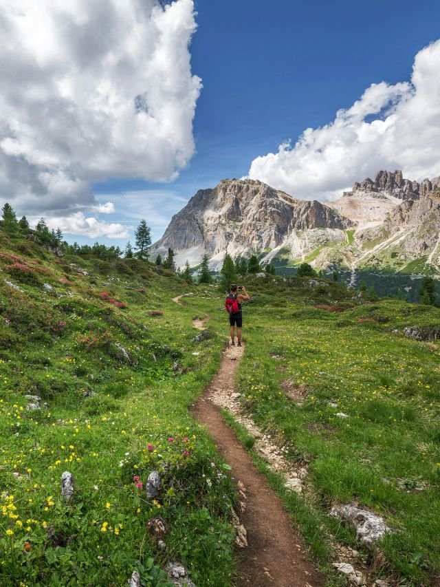 valley of flowers trek itinerary, Valley of Flowers Trek, valley of flowers trek best time, valley of flowers trek cost
