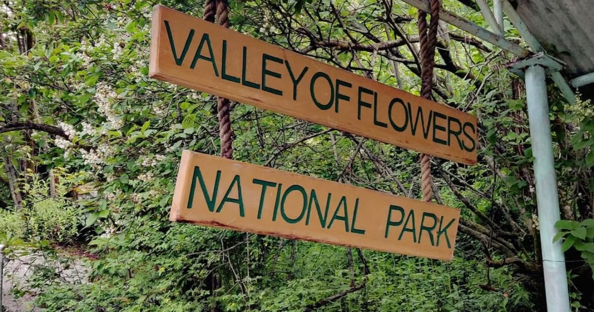 Valley of Flowers, Uttarakhand: How to Reach, Trek, Best Time, Complete Travel Guide 2 Two rustic wooden planks hanging by ropes with green text displaying Valley of Flowers National Park amidst lush green foliage.