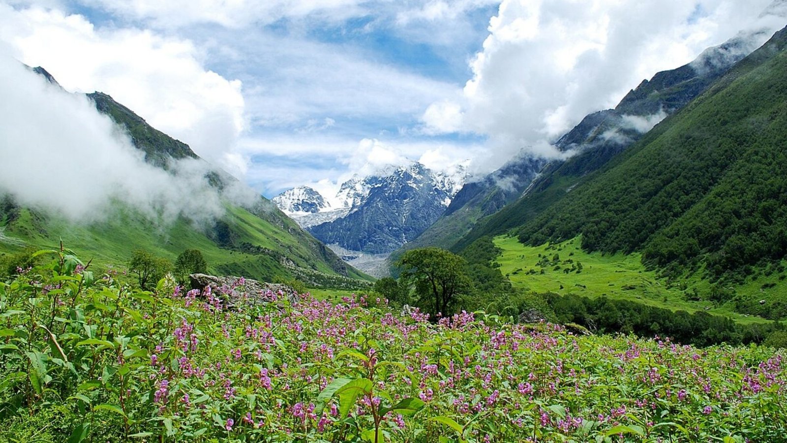 Valley of Flowers, best time to visit, best season to visit valley of flowers, opening time, valley of flowers national park photos, how to reach valley of flowers, delhi to valley of flowers, badrinath to valley of flowers, Valley of Flowers Uttarakhand Trek, Valley of Flowers Trek Best Time, Valley of Flowers Uttarakhand Trek Distance,