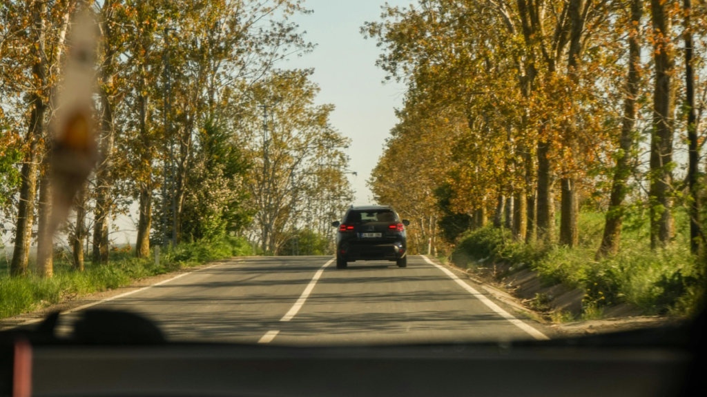 Nainital to Ranikhet, Nainital to Ranikhet distance, Nainital to Ranikhet taxi fare, Nainital to Ranikhet distance by bus, Ranikhet to Nainital train, distance between Nainital to Ranikhet,