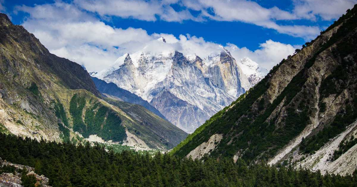 Explore National Parks in Uttarakhand: Complete Travel Guide 6 National Park in Uttarakhand, National Parks in Uttarakhand, uttarakhane best national park, uttarakhand National Park entry fees, Jim Corbett National Park, Rajaji National Park, Valley Of Flowers National Park, Nanda Devi National Park, Gangotri National Park, Govind Pashu Vihar National Park & Sanctuary,