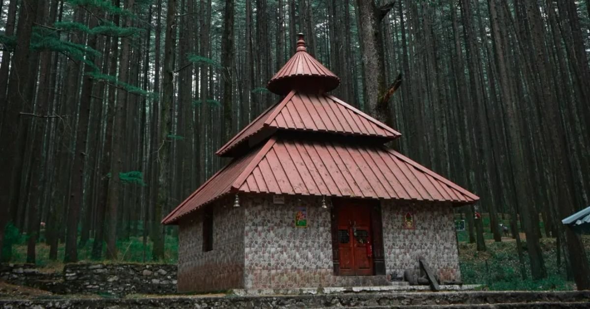 Devalsari Temple, Uttarakhand: How to Reach, Timing, History, Complete Travel Guide 3 A small stone temple with a distinct multi-tiered brown roof sits quietly enveloped by a dense forest of towering deodar pine trees.