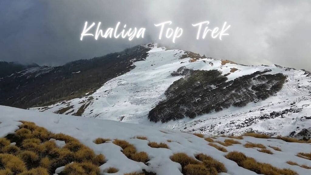 Khaliya Top Trek, Khaliya Top Trek munsiyari, Khaliya Top munsiyari, khaliya top trek distance, munsiyari khaliya top trek
