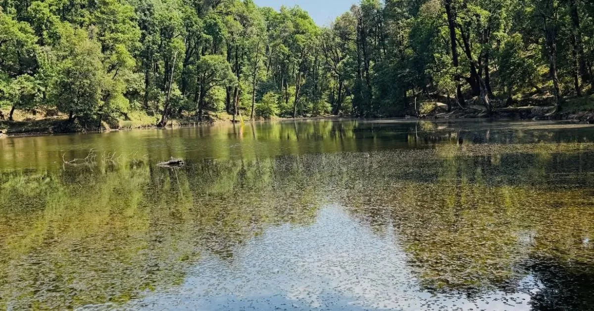 Nachiketa Tal Trek: A Complete Guide With Route Map and Tips 1 Quiet Nachiketa Tal lake surrounded by tall green trees and calm water