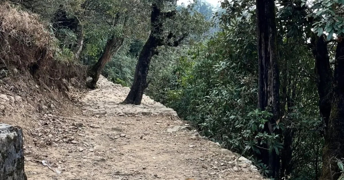 Nachiketa Tal Trek: A Complete Guide With Route Map and Tips 5 A rocky hillside walking path leading through trees on the trek route.